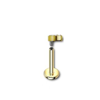 Labret titane PVD doré · top lune 3 CZ — détails
