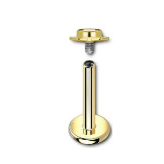 Labret titane PVD doré · top étoile cristal — détails