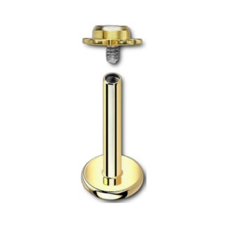 Labret titane PVD doré · top fleur cristal