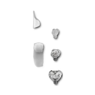Barbell titane sourcil · double CZ