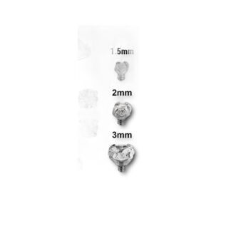 Barbell titane sourcil · double CZ — détails